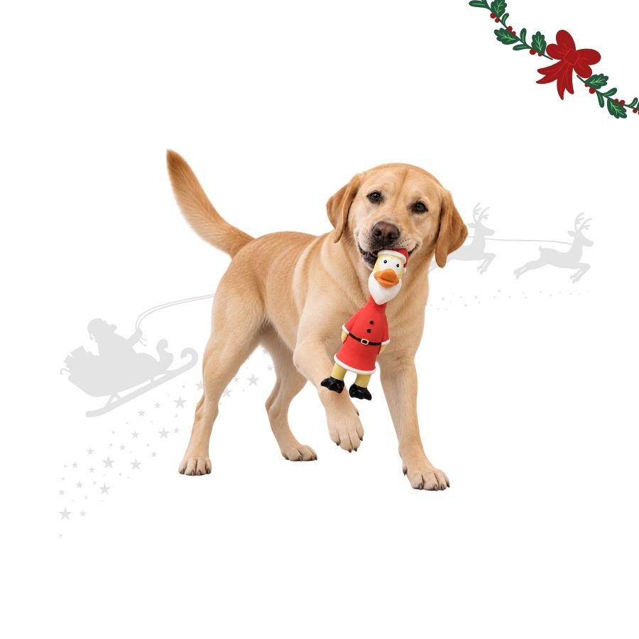 Wonder Christmas Frango L&aacute;tex Brinquedo para c&atilde;es, , large Imagem n&uacute;mero 1