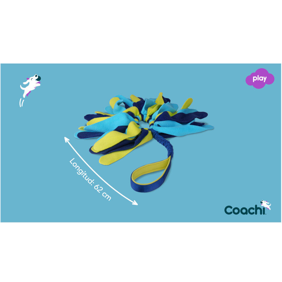 Coachi Tuggi Spider brinquedo para c&atilde;es, , large Imagem n&uacute;mero 4