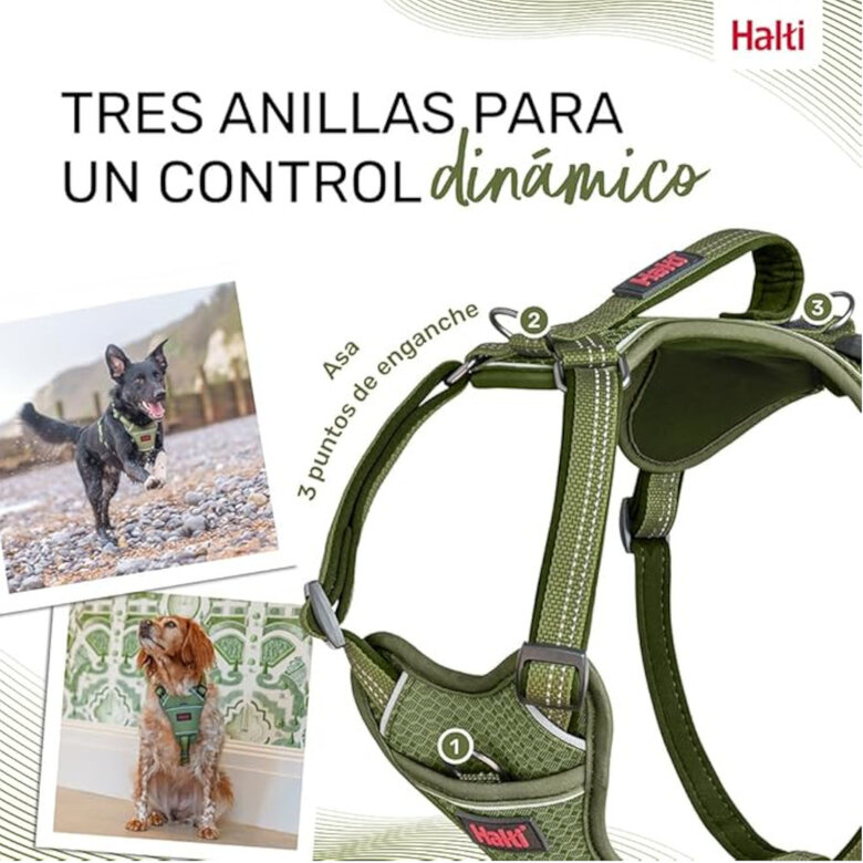 Halti Peitoral Anatómico Verde para cães pequenos,  Imagem número 4 Halti Peitoral Anatómico Verde para cães pequenos, , large Imagem número 4