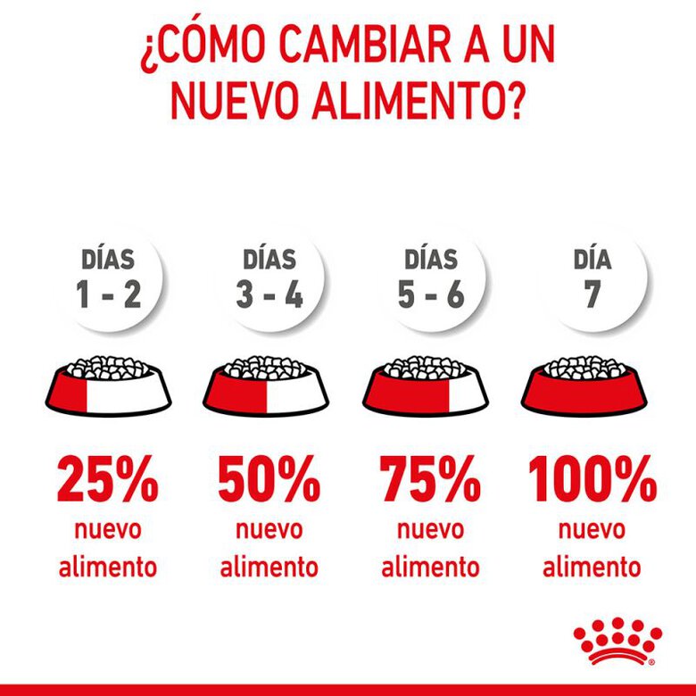Royal Canin Kitten ração para gatos, , large image number null
