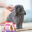 Beaphar Rabbitcomfort Spray tranquilizante para coelhos, , large Indicador imagem número 7