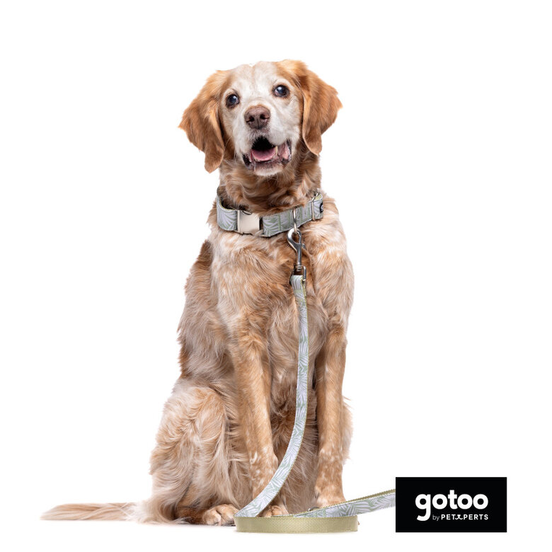 Gotoo Coleira com estampa de flores para cães,  Imagem número 4 Gotoo Coleira com estampa de flores para cães, , large Imagem número 4