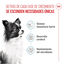 3 kg Royal Canin X-Small Puppy ração para cães, , large Indicador imagem número 3