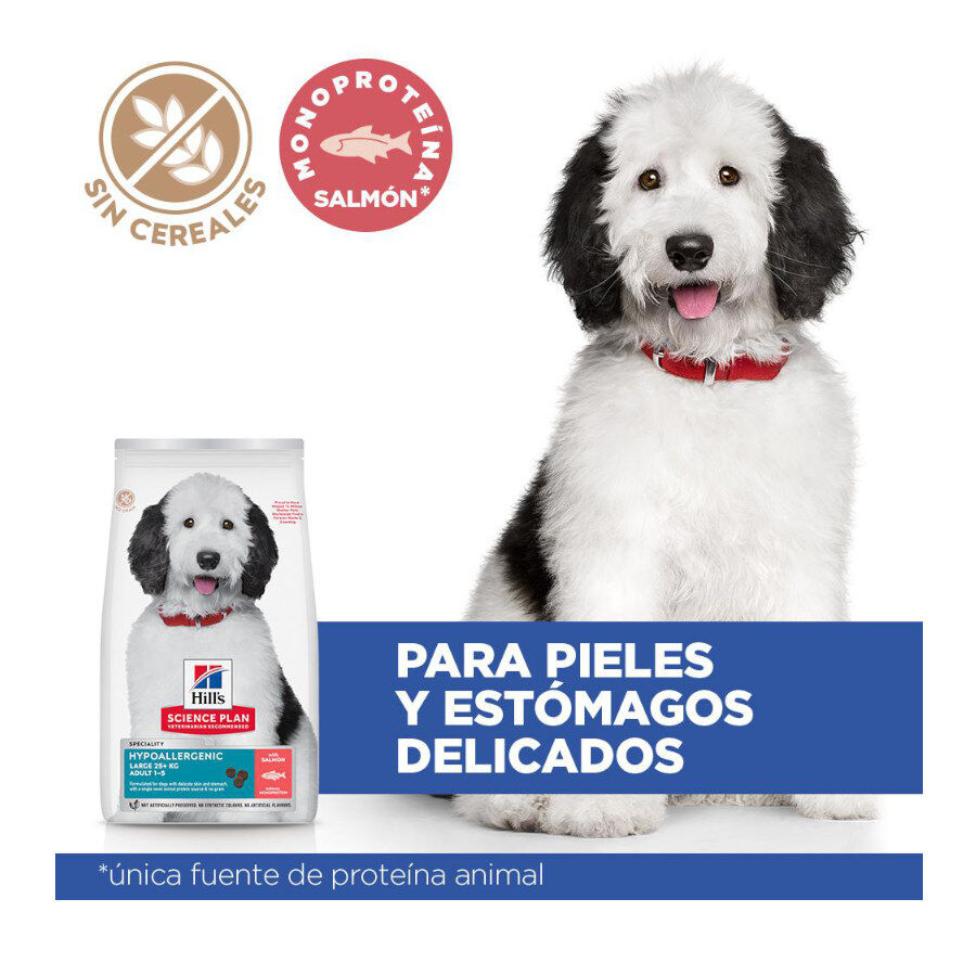 14 kg Hill's Science Plan Hipoalerg&eacute;nico Large Salm&atilde;o ra&ccedil;&atilde;o para c&atilde;es, , large Imagem n&uacute;mero 3