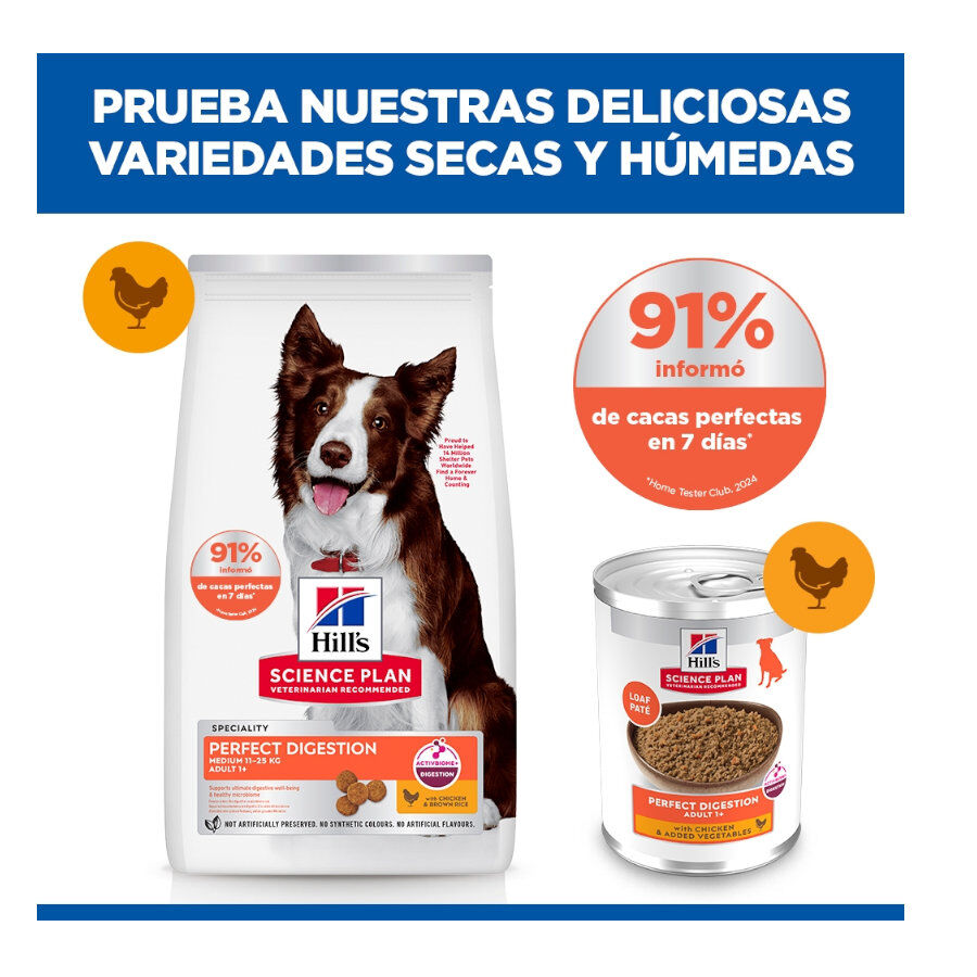 2.5 kg Hill'sScience Plan Perfect Digestion Medium Adult Ra&ccedil;&atilde;o de frango para c&atilde;es, , large Imagem n&uacute;mero 10