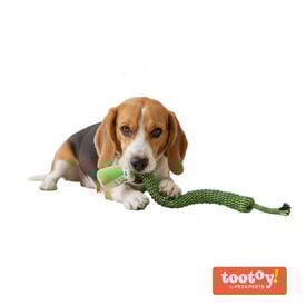Tootoy! Pull Brinquedo de corda cobra de puxar para cães