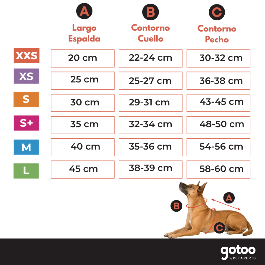 Gotoo Casaco com Estrelas, Capuz e Pompom para c&atilde;es, , large Imagem n&uacute;mero 5