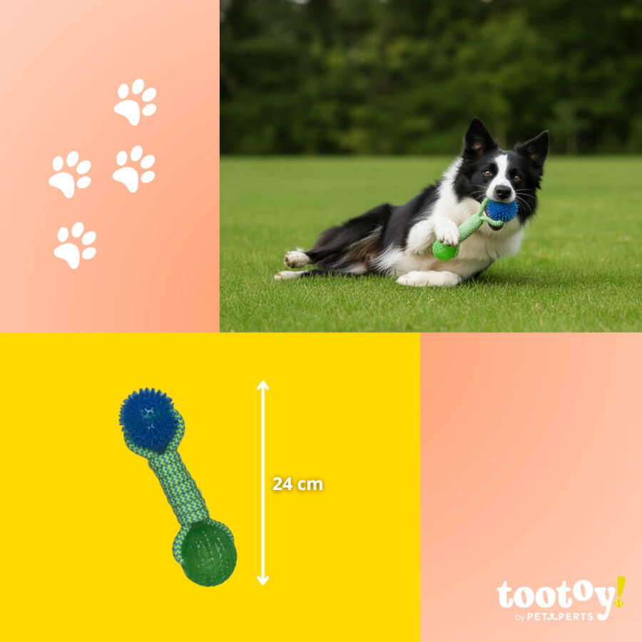 Tootoy! Pull Brinquedo de corda com duas bolas para c&atilde;es, , large Imagem n&uacute;mero 4