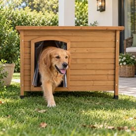 TK-Pet Tindaya Casota para c&atilde;es