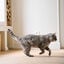 Beaphar CatComfort difusor de odor calmante e recarga para gatos, , large Indicador imagem número 4