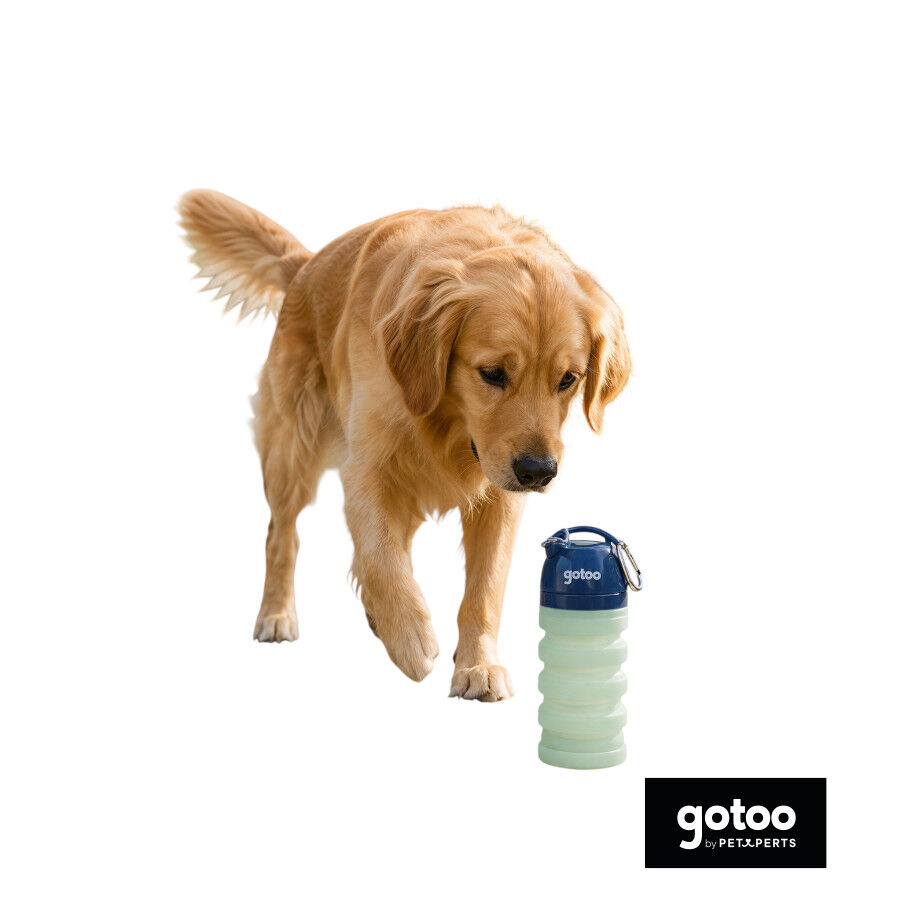 Gotoo Garrafa Bebedouro Port&aacute;til em Silicone Azul e Verde para c&atilde;es e gatos, , large Imagem n&uacute;mero 6