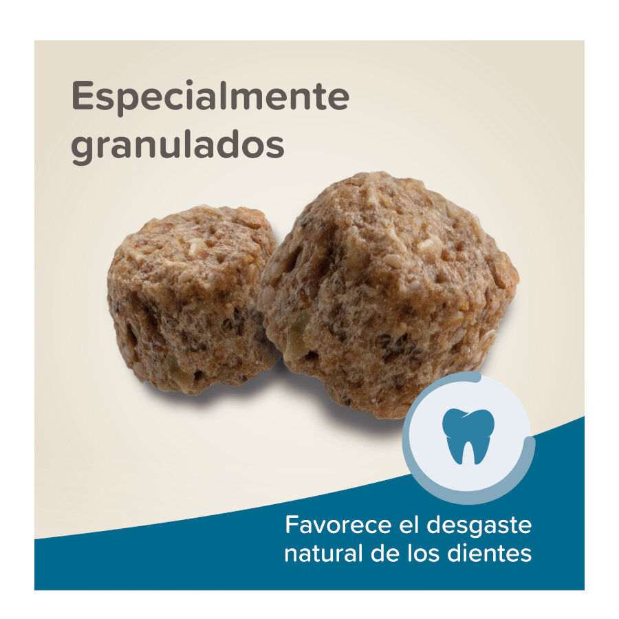 Biophar Care + ra&ccedil;&atilde;o para porquinhos-da-&iacute;ndia, , large Imagem n&uacute;mero 6