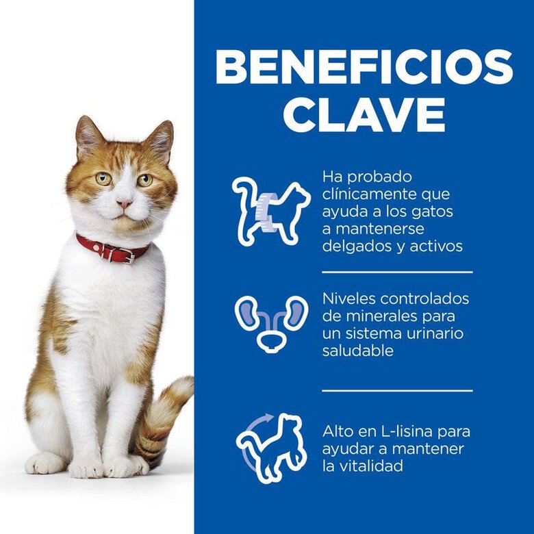 Hill's Science Plan Young AdultSterilised Frango ração para gatos, , large image number null
