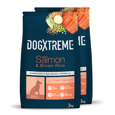 Dogxtreme Salm&atilde;o e arroz - 2x3 kg Pack Poupan&ccedil;a