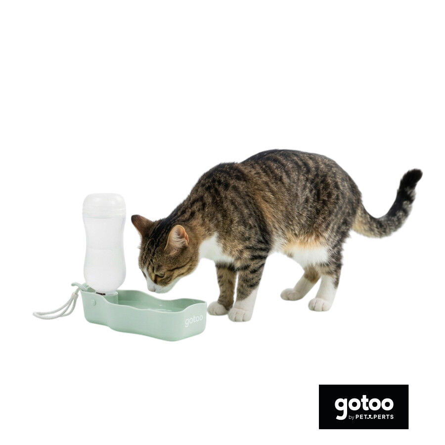 Gotoo Garrafa Bebedouro Port&aacute;til em Pl&aacute;stico Verde para c&atilde;es e gatos, , large Imagem n&uacute;mero 7