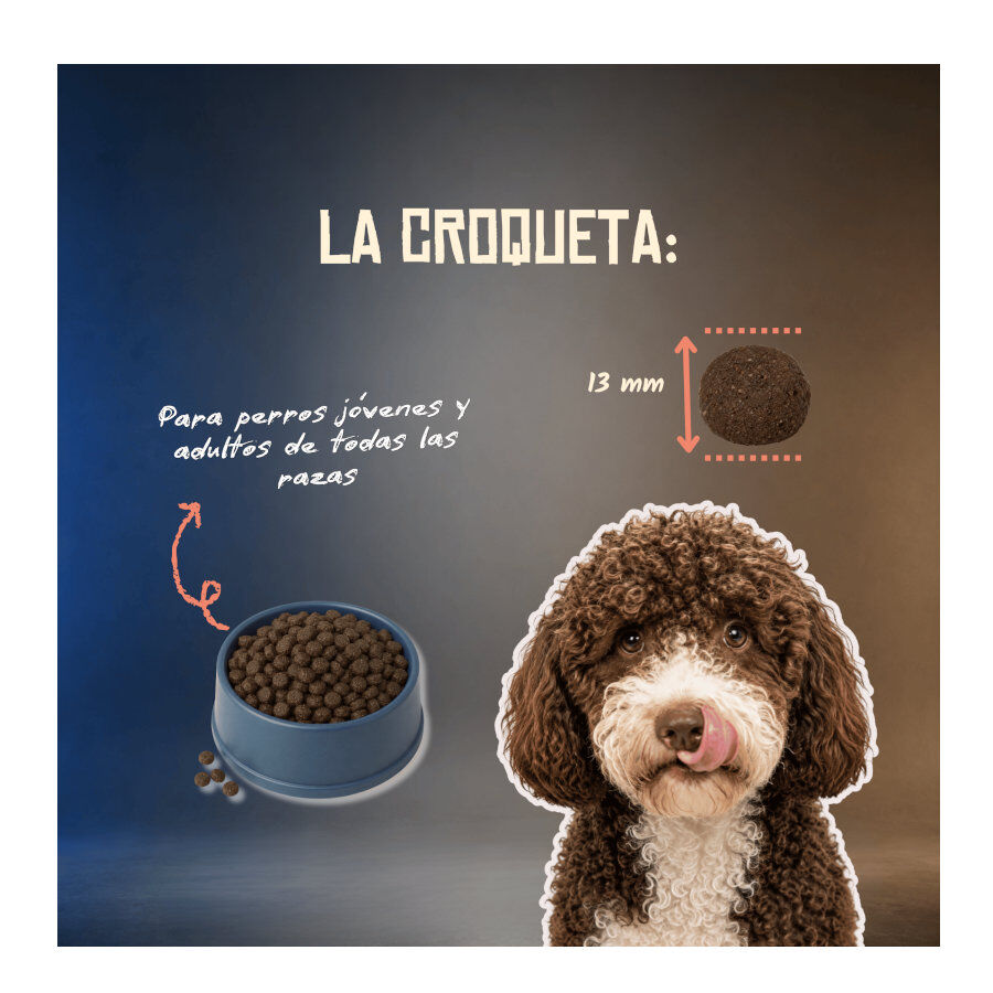 10 kg Lenda Grain Free Ra&ccedil;&atilde;o de Salm&atilde;o para c&atilde;es, , large Imagem n&uacute;mero 4