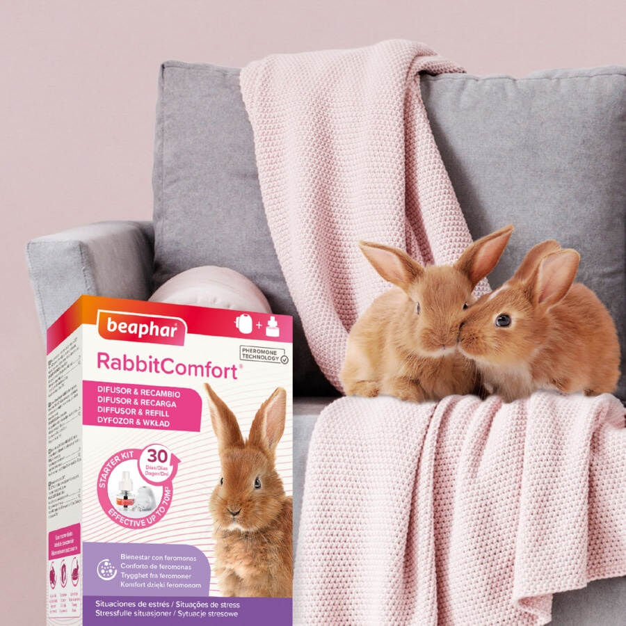 Beaphar RabbitComfort Difusor e recarga para coelhos, , large Imagem n&uacute;mero 8