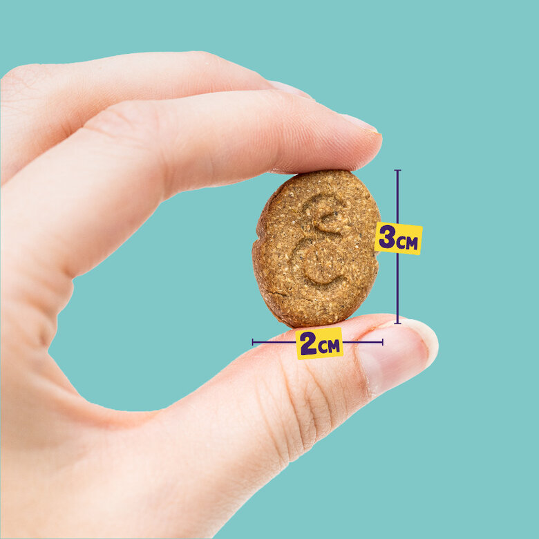 400 g Edgard & Cooper Festive Biscoitos de peru e pato para cães ,  Imagem número 3 400 g Edgard & Cooper Festive Biscoitos de peru e pato para cães , , large Imagem número 3