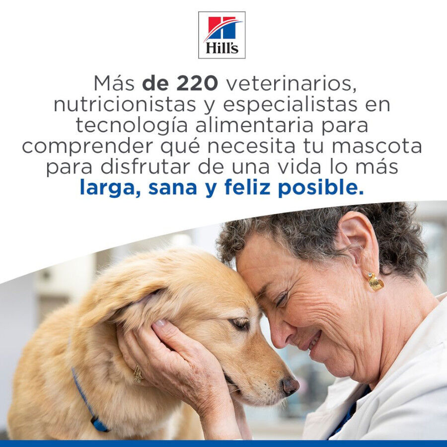 363 g  Hill's Science Plan Puppy Estufado com frango e legumes Lata para c&atilde;es, , large Imagem n&uacute;mero 6