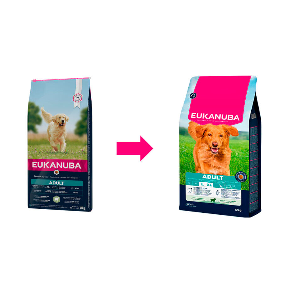 12 kg Eukanuba Adult Ra&ccedil;&atilde;o de cordeiro e arroz para c&atilde;es de ra&ccedil;a grande, , large Imagem n&uacute;mero 2
