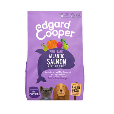 Edgard & Cooper ração de salmão e peru para cachorros