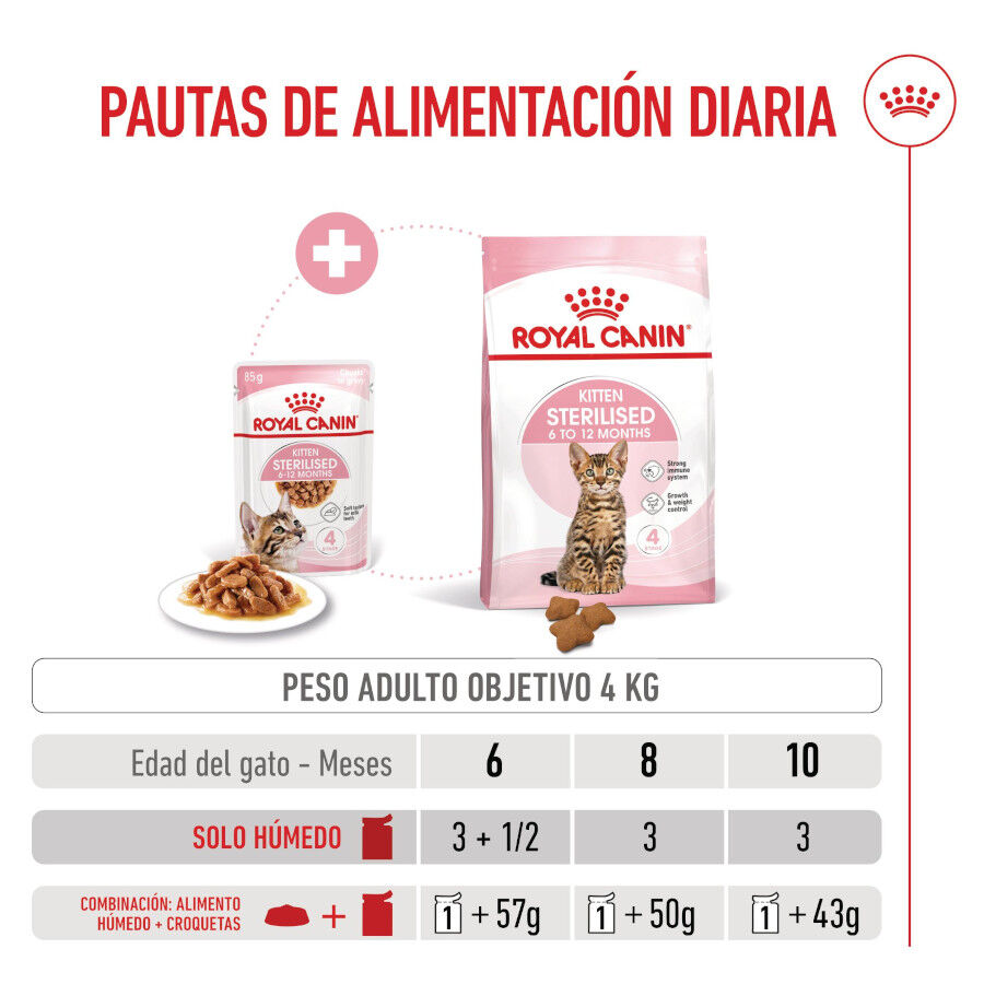 12 saquetas x 85 g Royal Canin Kitten Sterilised alimento h&uacute;mido em molho saquetas para gatos Pack poupan&ccedil;a!, , large Imagem n&uacute;mero 8