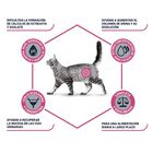 Affinity Advance Veterinary Diets Feline Urinary, , large image number null