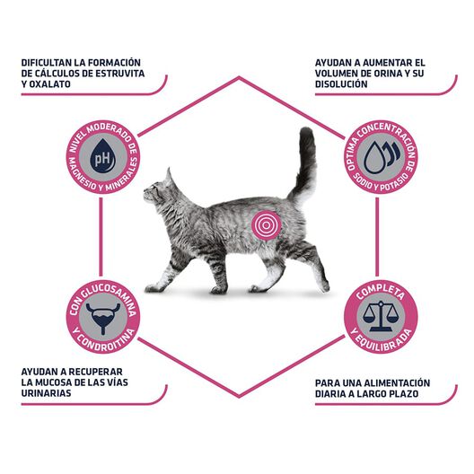 Affinity Advance Veterinary Diets Feline Urinary, , large image number null