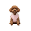 Gotoo Camisola com Padr&atilde;o de Estrelas para c&atilde;es, , large Indicador imagem n&uacute;mero 7