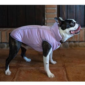 Freedog Winterhug Capa de Chuva roxa para cães