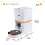 Ferplast Risto Pet Smart Dispensador Automático de alimentos para cães e gatos, , large Indicador imagem número 3