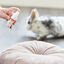 Beaphar Rabbitcomfort Spray tranquilizante para coelhos, , large Indicador imagem número 5