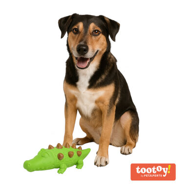 Tootoy! Chew Croco Treat mordedor dispensador de snacks para cães