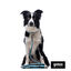 Gotoo Trela mesh turquesa refletora para cães, , large Indicador imagem número 3