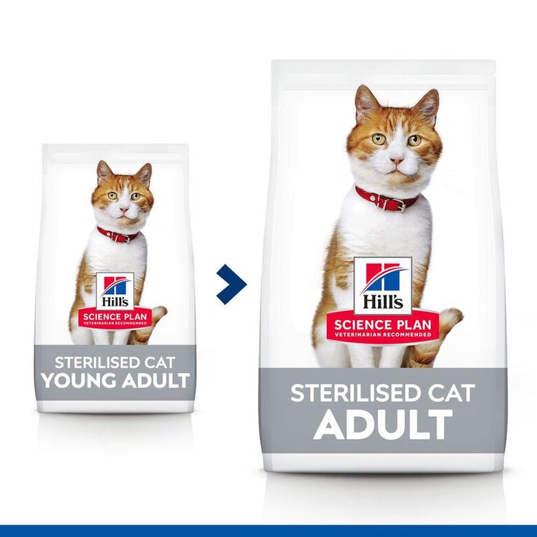 Hill's Science Plan Young AdultSterilised Frango ração para gatos, , large image number null