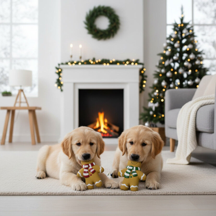 Wonder Christmas Brinquedo Super Gingerman de Natal para C&atilde;es, , large Imagem n&uacute;mero 3