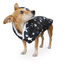 Outech Capa de Chuva Impermeável Com Estrelas para cães, , large Indicador imagem número 1