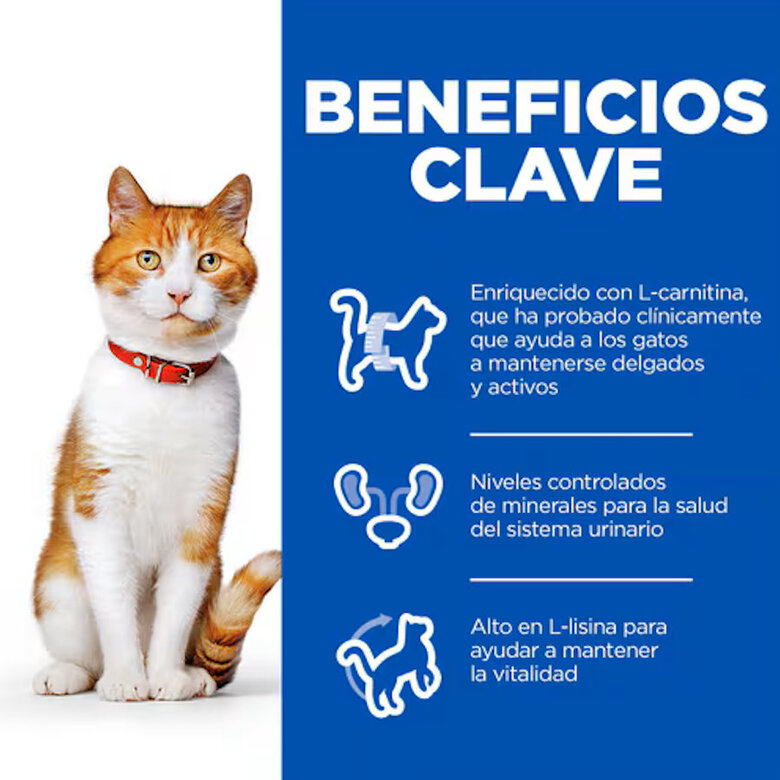 10 kg Ração Hill's Science Plan Sterilised Adult Ração de salmão para gatos,  Imagem número 4 10 kg Ração Hill's Science Plan Sterilised Adult Ração de salmão para gatos, , large Imagem número 4