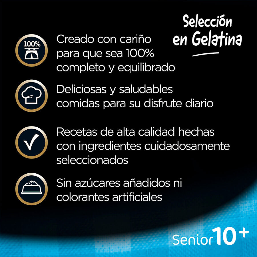 pienso_humedo_perros_cesar_pouche_senior_02_CES306102.jpg Imagem n&uacute;mero 3