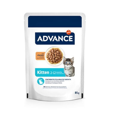 Advance Kitten Frango Saqueta em Molho
