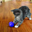 Kong Bola Doseadora de Tratamentos para gatos, , large Indicador imagem número 2