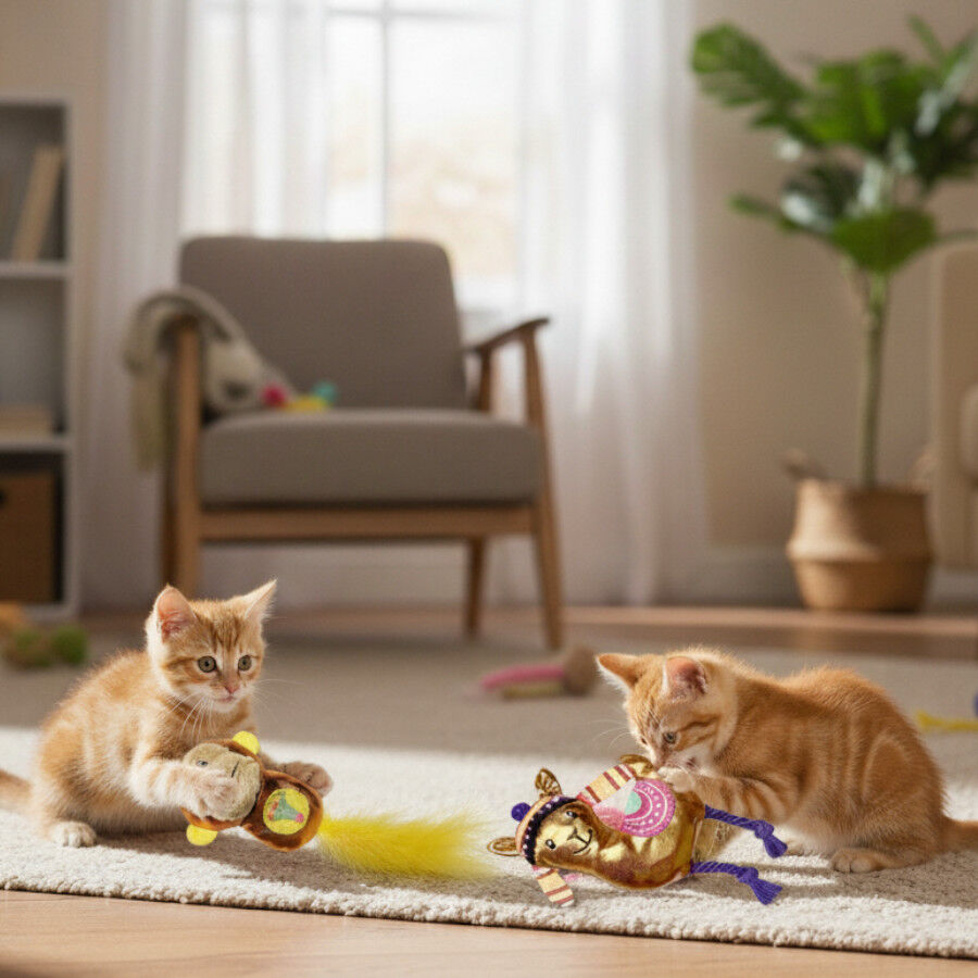 Tootoy! Kitten Peluche de macaco brilhante e lhama para gatos, , large Imagem n&uacute;mero 1