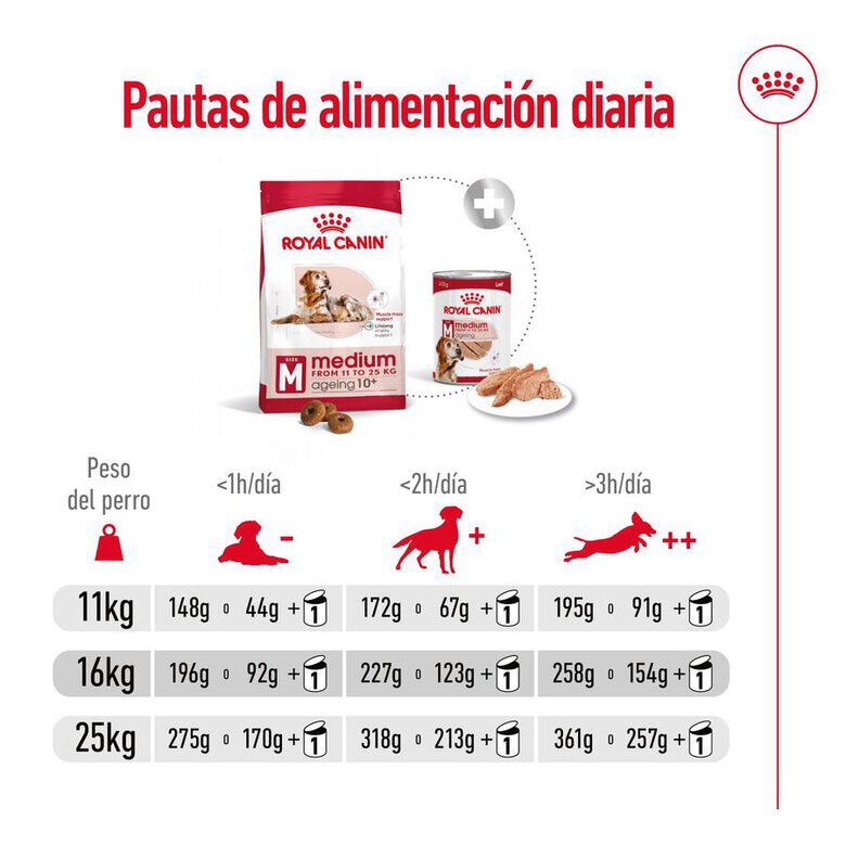 15 kg Royal Canin Medium 10+ Ageing ra&ccedil;&atilde;o para c&atilde;es, , large Imagem n&uacute;mero 13