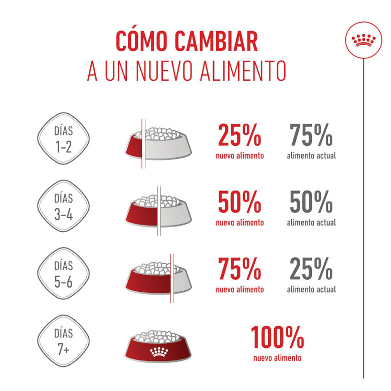 3.5 kg Royal Canin Kitten Sterilised ração para gatos ,  Imagem número 11 3.5 kg Royal Canin Kitten Sterilised ração para gatos , , large Imagem número 11