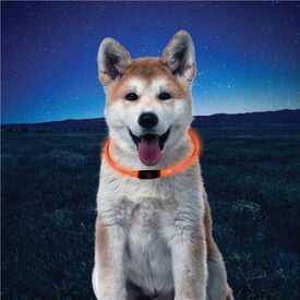 Nite Ize NiteHowl a Coleira de Segurança LED Laranja para cães
