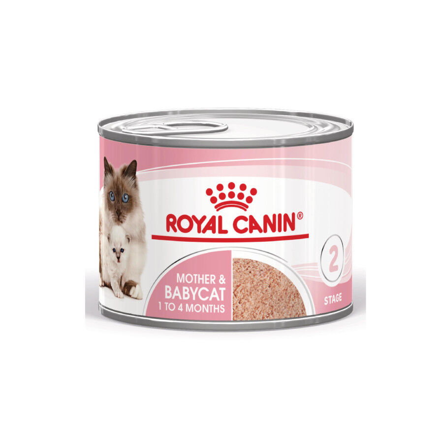 195 g Royal Canin Mother Baby mousse latas para gatos, , large Imagem n&uacute;mero 2