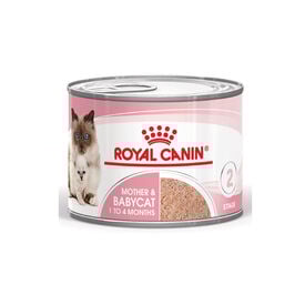 Royal Canin Mother Baby mousse latas para gatos