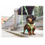 Dukier Avocado Peitoral reversível com estampado de abacate para cães, , large Indicador imagem número 4