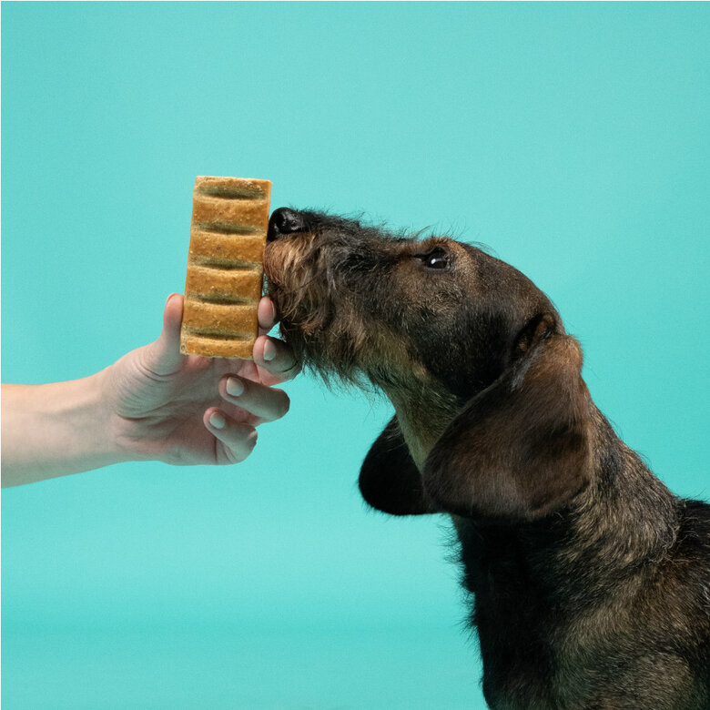 1 stick Edgard y Cooper sticks de Peru para cães,  Imagem número 3 1 stick Edgard y Cooper sticks de Peru para cães, , large Imagem número 3