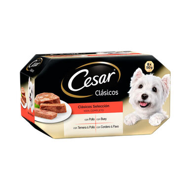Cesar Multipack Cl&aacute;sicos